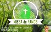 Horário da Santa Missa de Ramos
