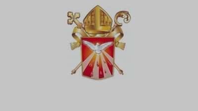 Boletim Diocesano – Pe. Zezinho se acidenta, mas passa bem