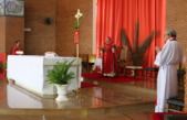 Sem assembleia presente, Bispo Preside Missa de Domingo de Ramos