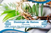Programação Santa Missa do Domingo de Ramos
