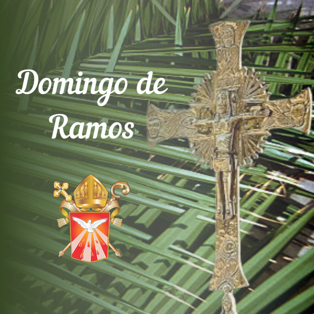 Domingo de Ramos pela Diocese
