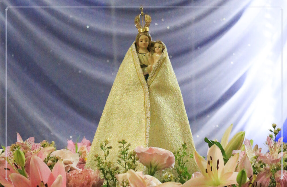 Paróquias da Diocese celebram padroeira do Paraná